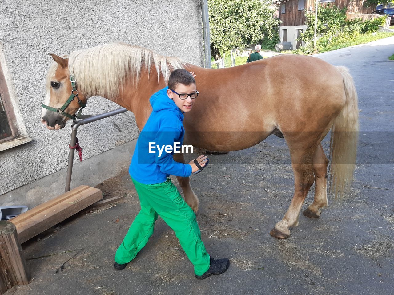 HORSES STANDING ON FLOOR