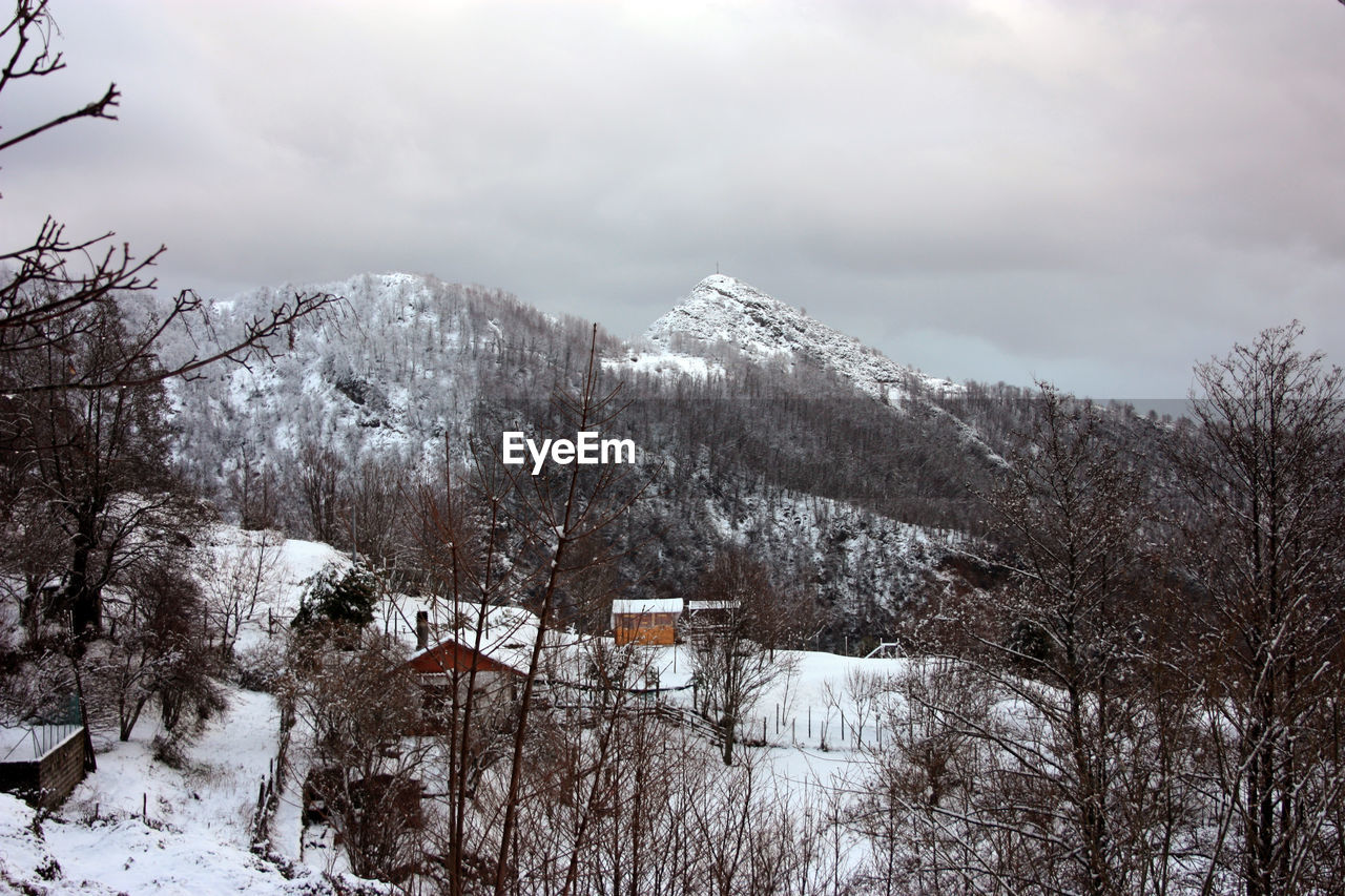 SNOW COVERED HOUSES BY TREES AGAINST SKY