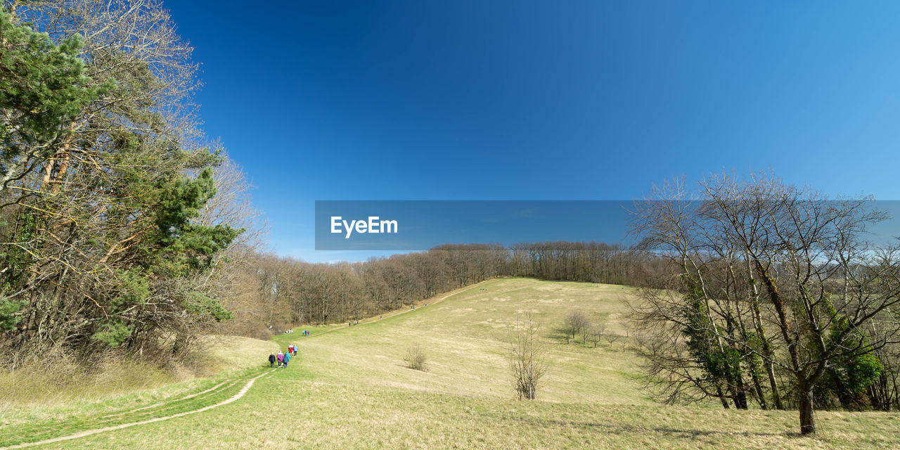 SCENIC VIEW OF ROAD AGAINST CLEAR BLUE SKY