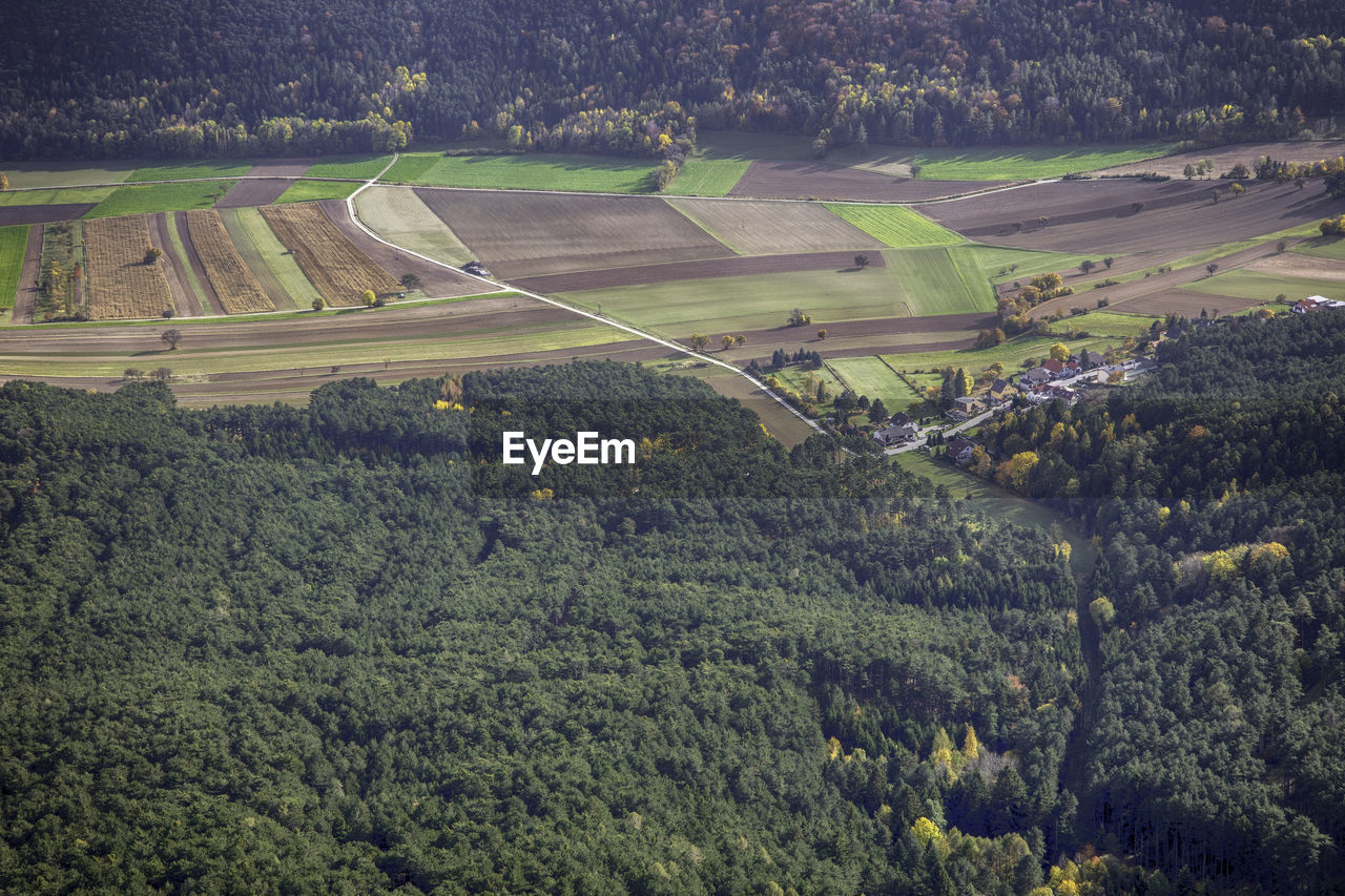 High angle view of road amidst trees on field