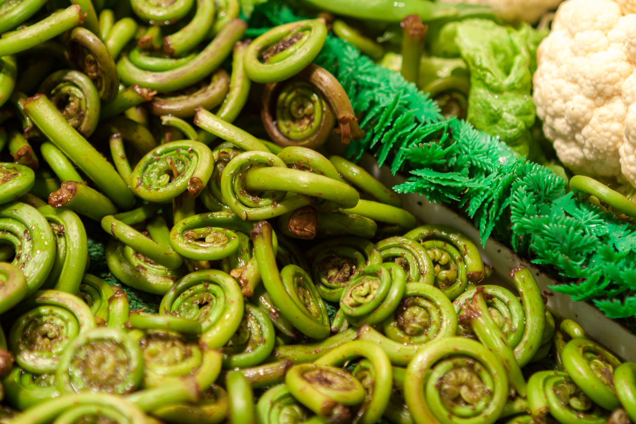 Close-up of fiddleheads vegetables for sale in market green