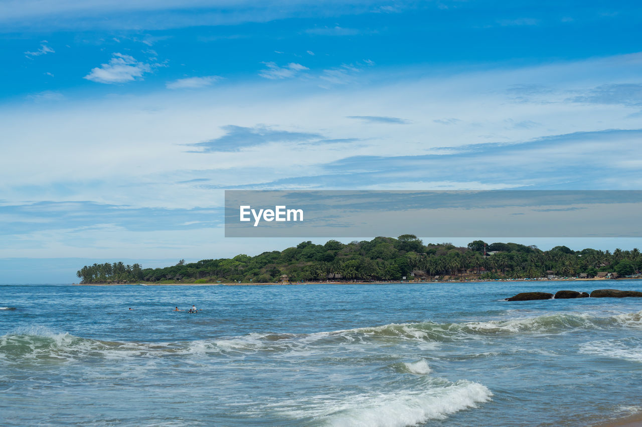 Surfer on the sea, palm trees on the background, blue sky. arugam bay, sri lanka.