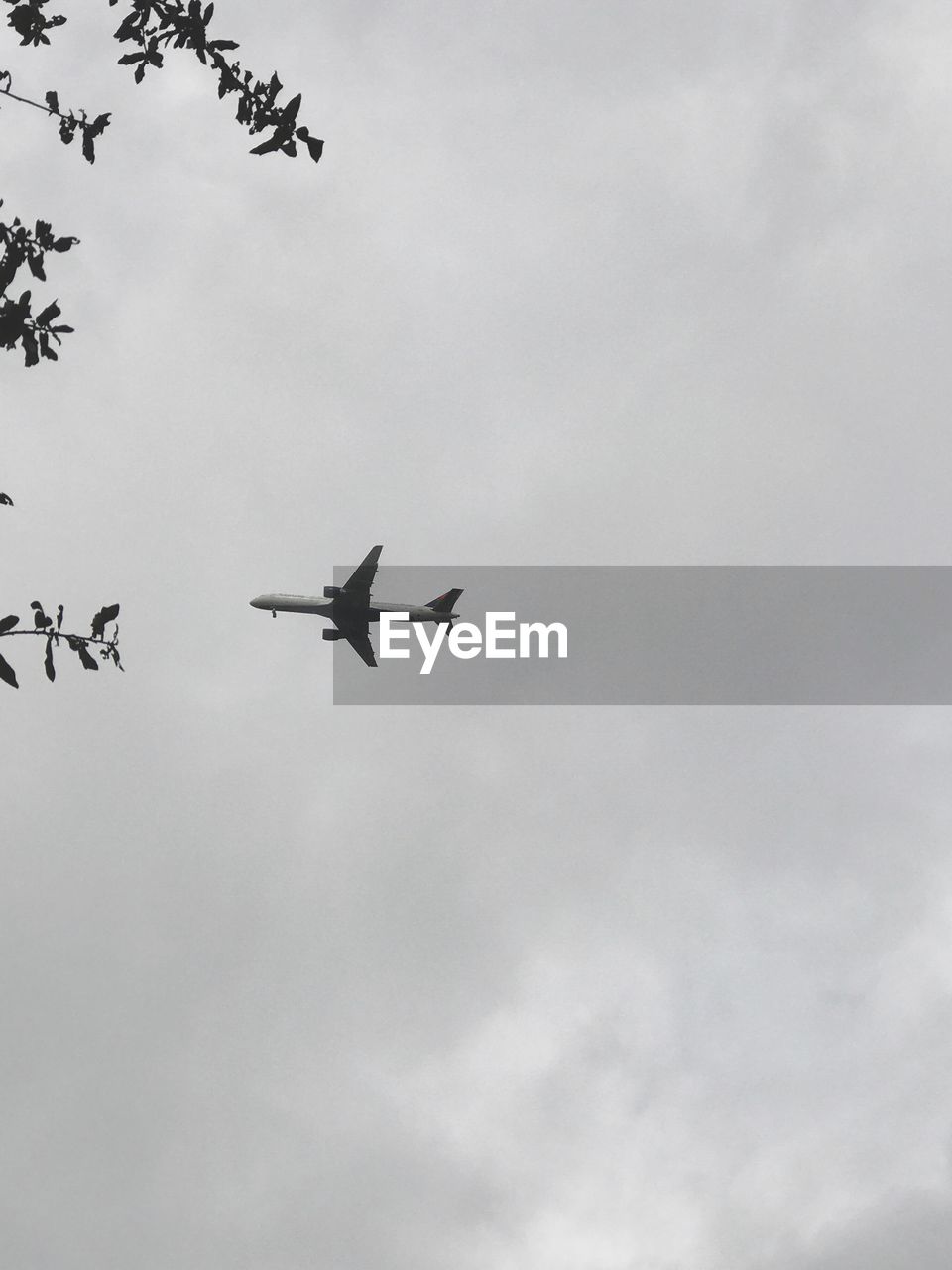 Low angle view of airplane flying in sky