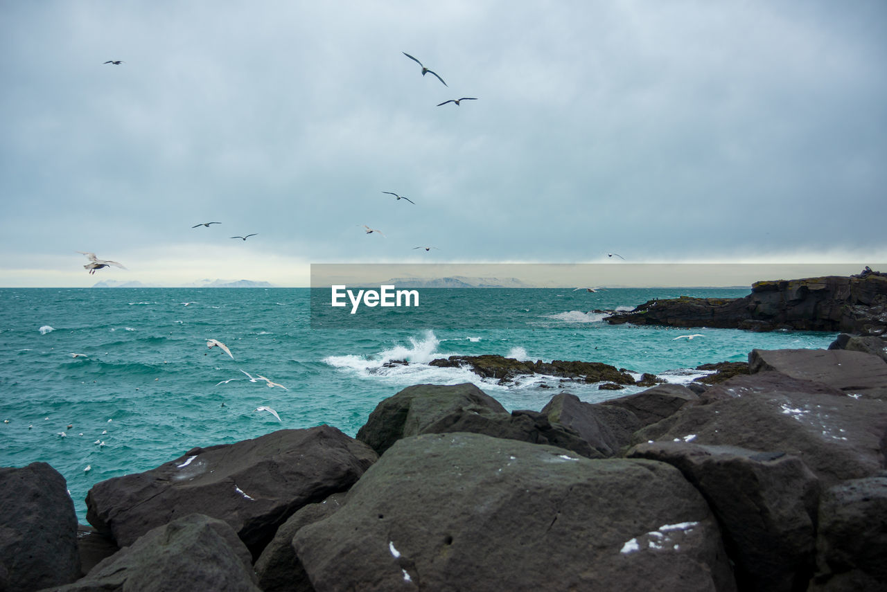 Seagulls flying over sea against sky