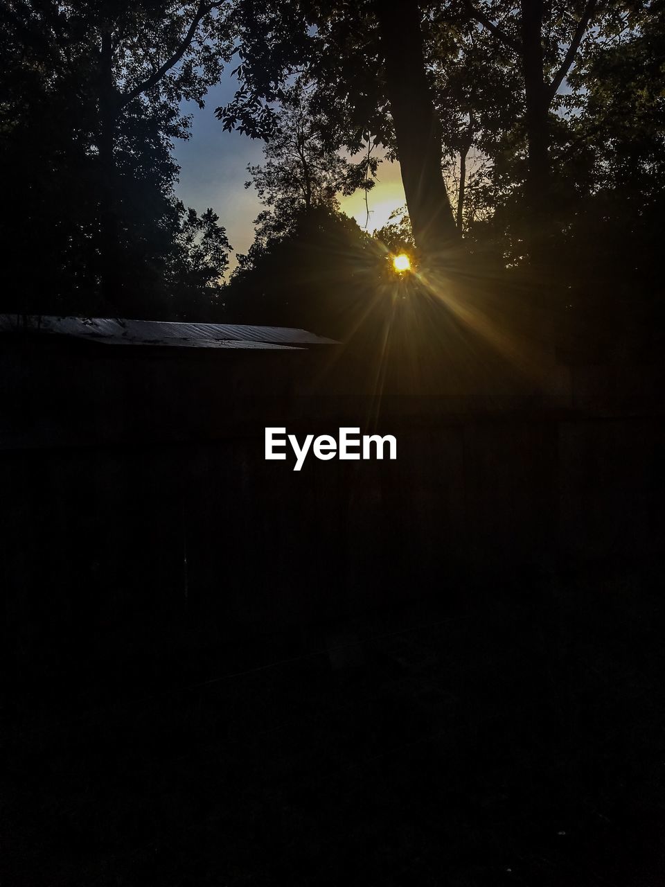 SILHOUETTE TREE AGAINST SKY DURING SUNSET