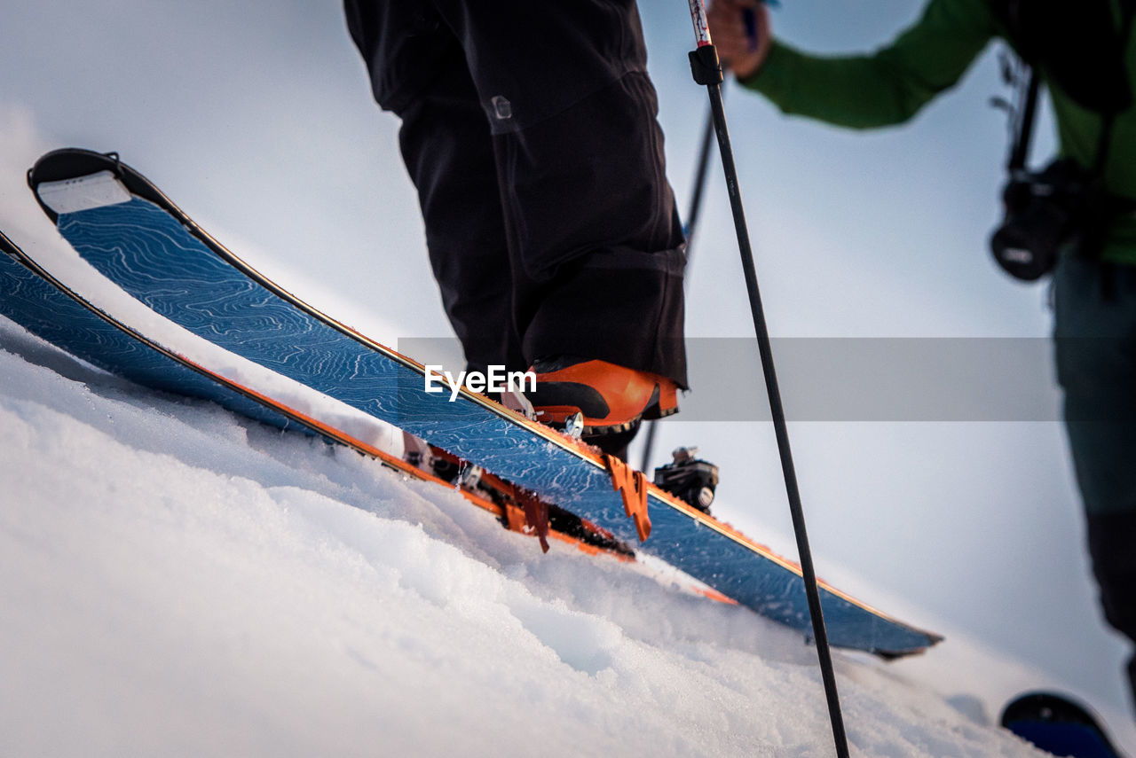 Bottom of backcountry skiing skins