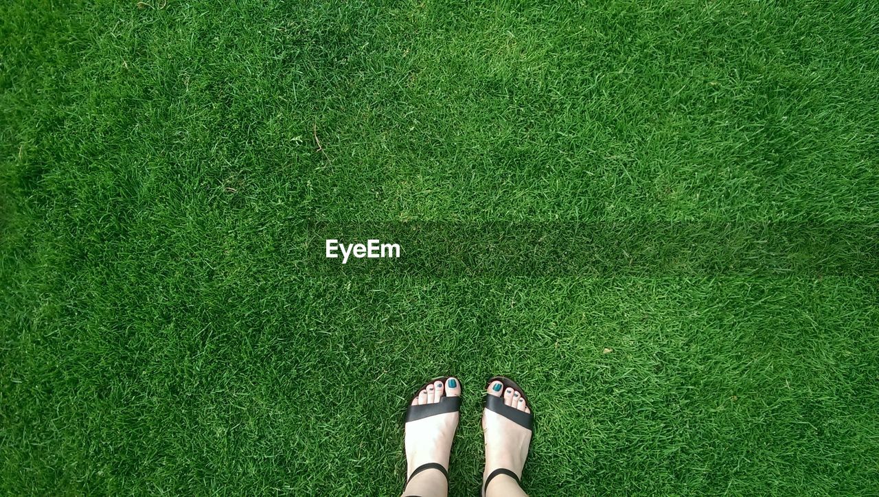 Low section of human legs on grass