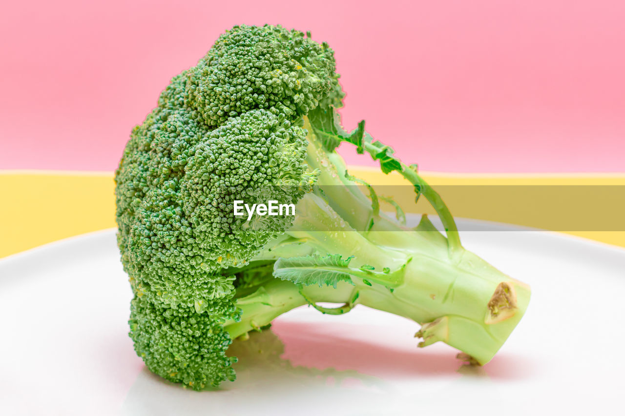 close-up of broccoli in plate against pink background