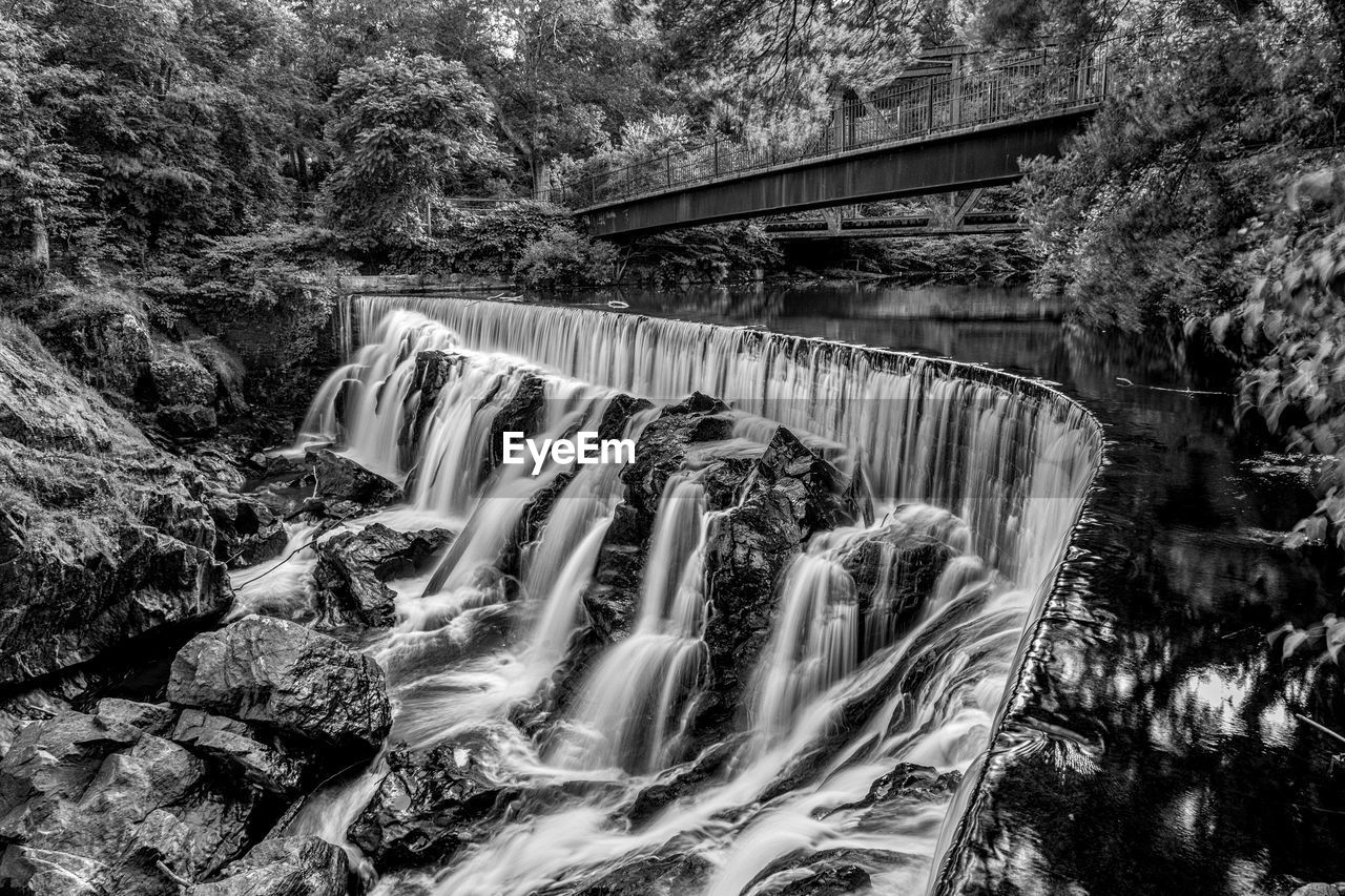 View of dam and bridge in forest