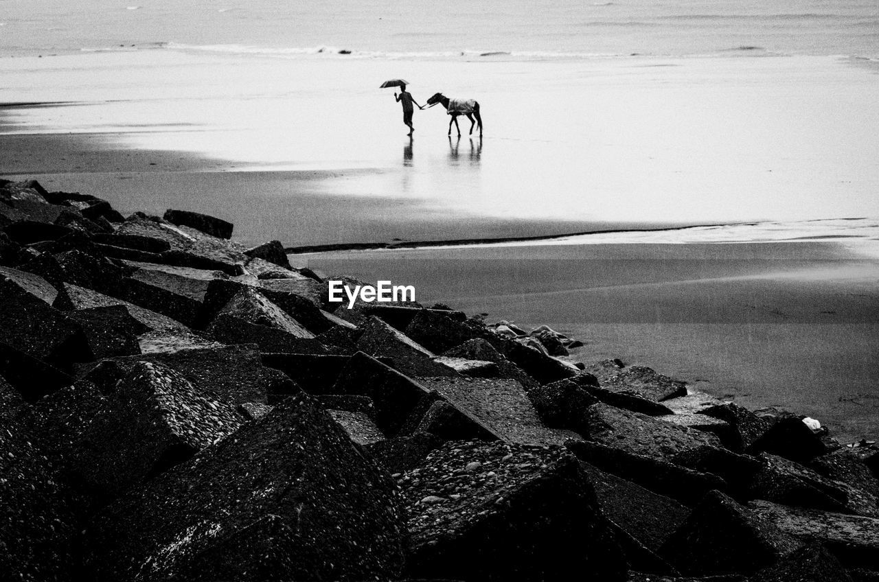 PEOPLE WALKING ON SHORE BY SEA