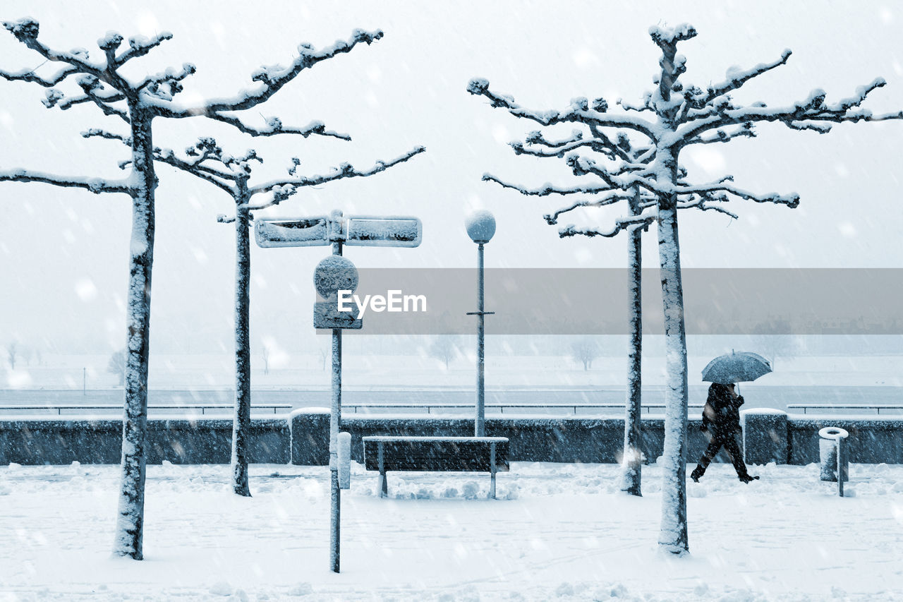 Bare trees on snow covered field against sky