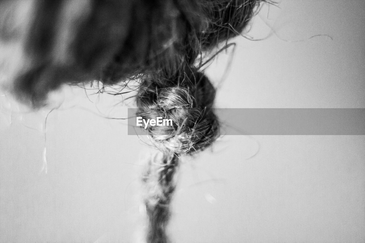 CLOSE-UP PORTRAIT OF WOMAN WITH HAIR