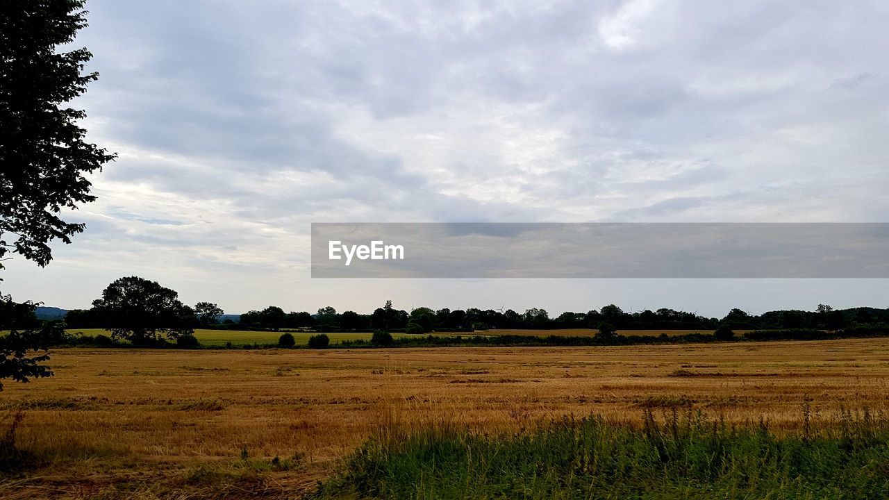 FIELD AGAINST SKY