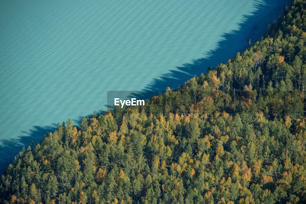 High angle view of trees by sea