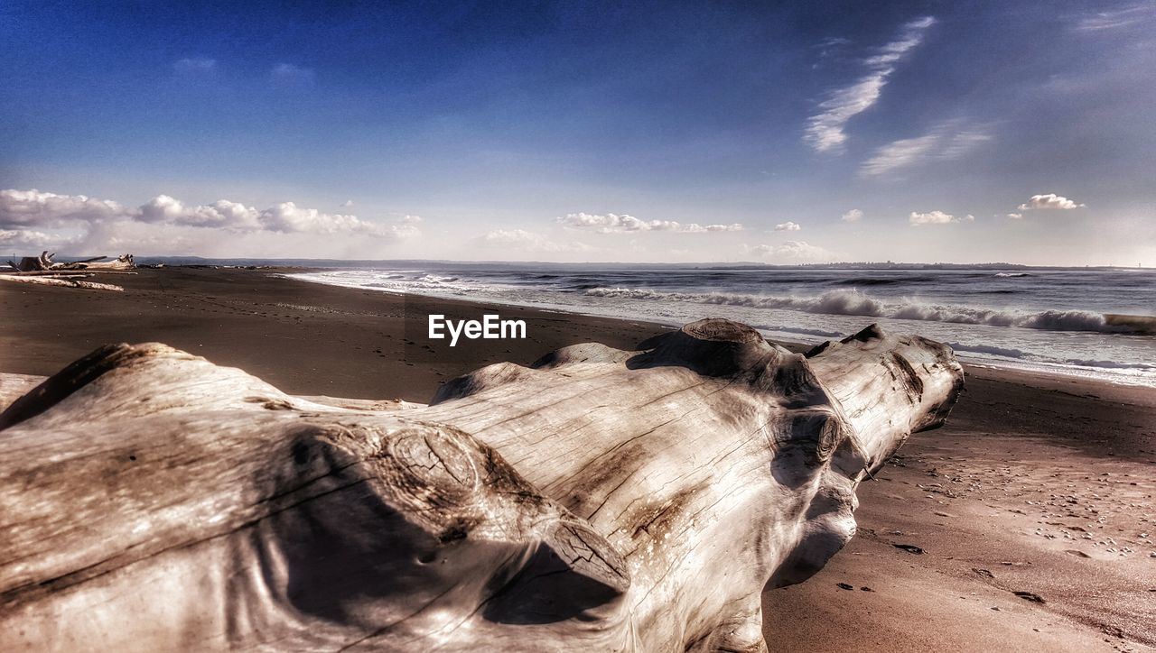 Driftwood on beach by sea against sky