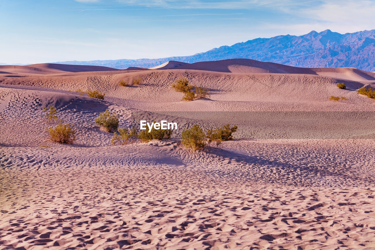 SCENIC VIEW OF DESERT