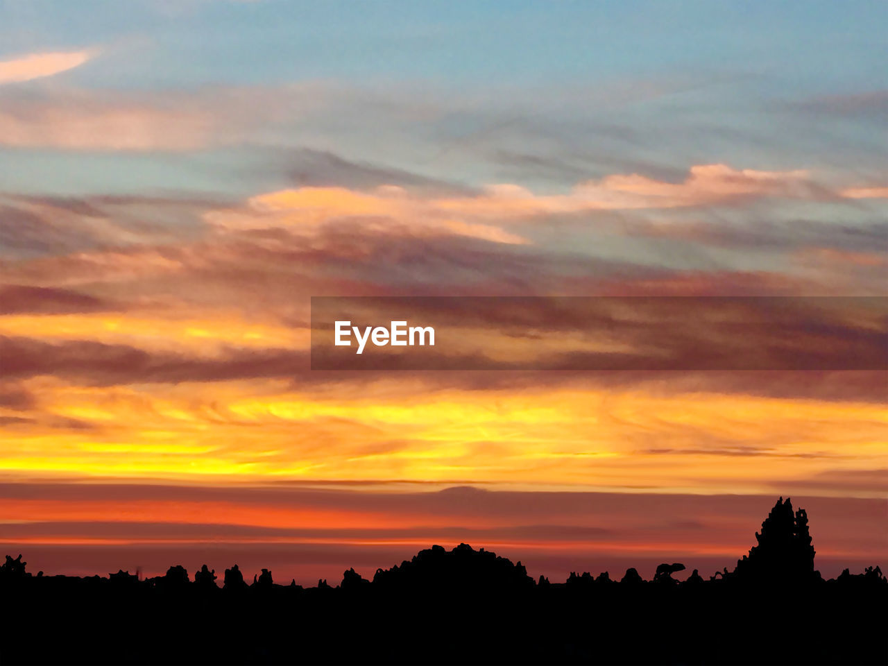 Silhouette of trees against dramatic sky