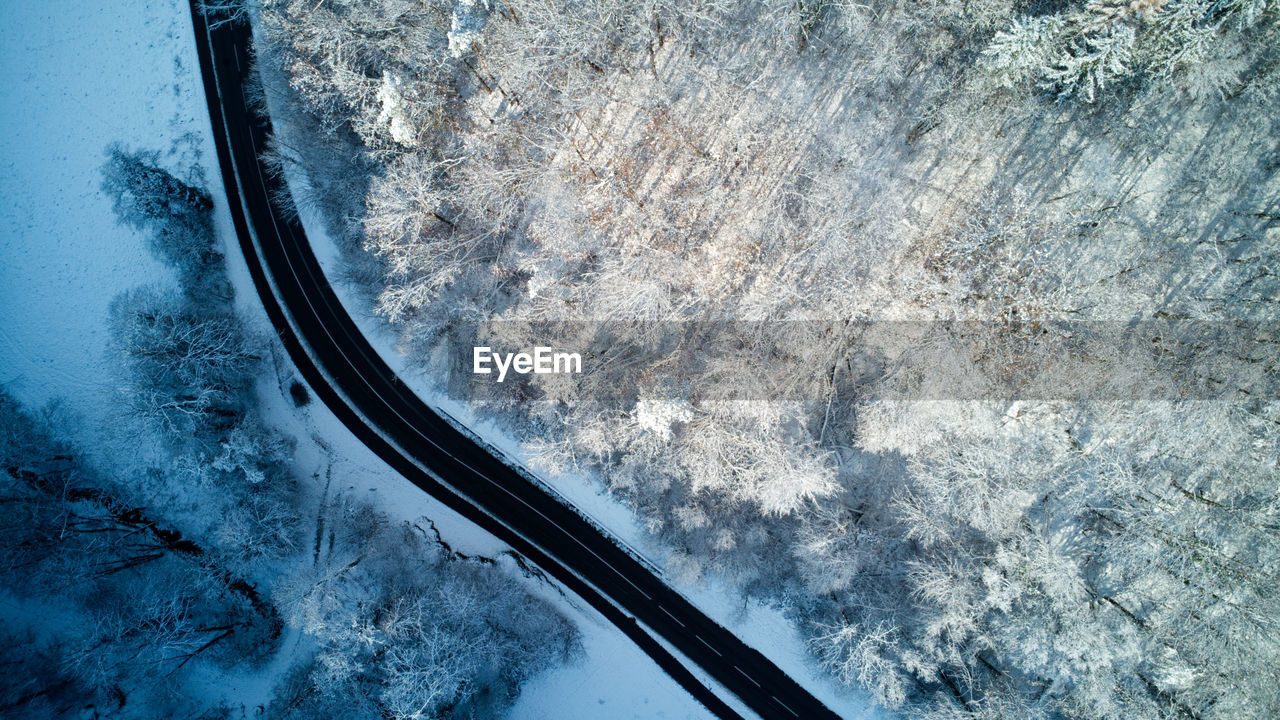 Road in snowy forest