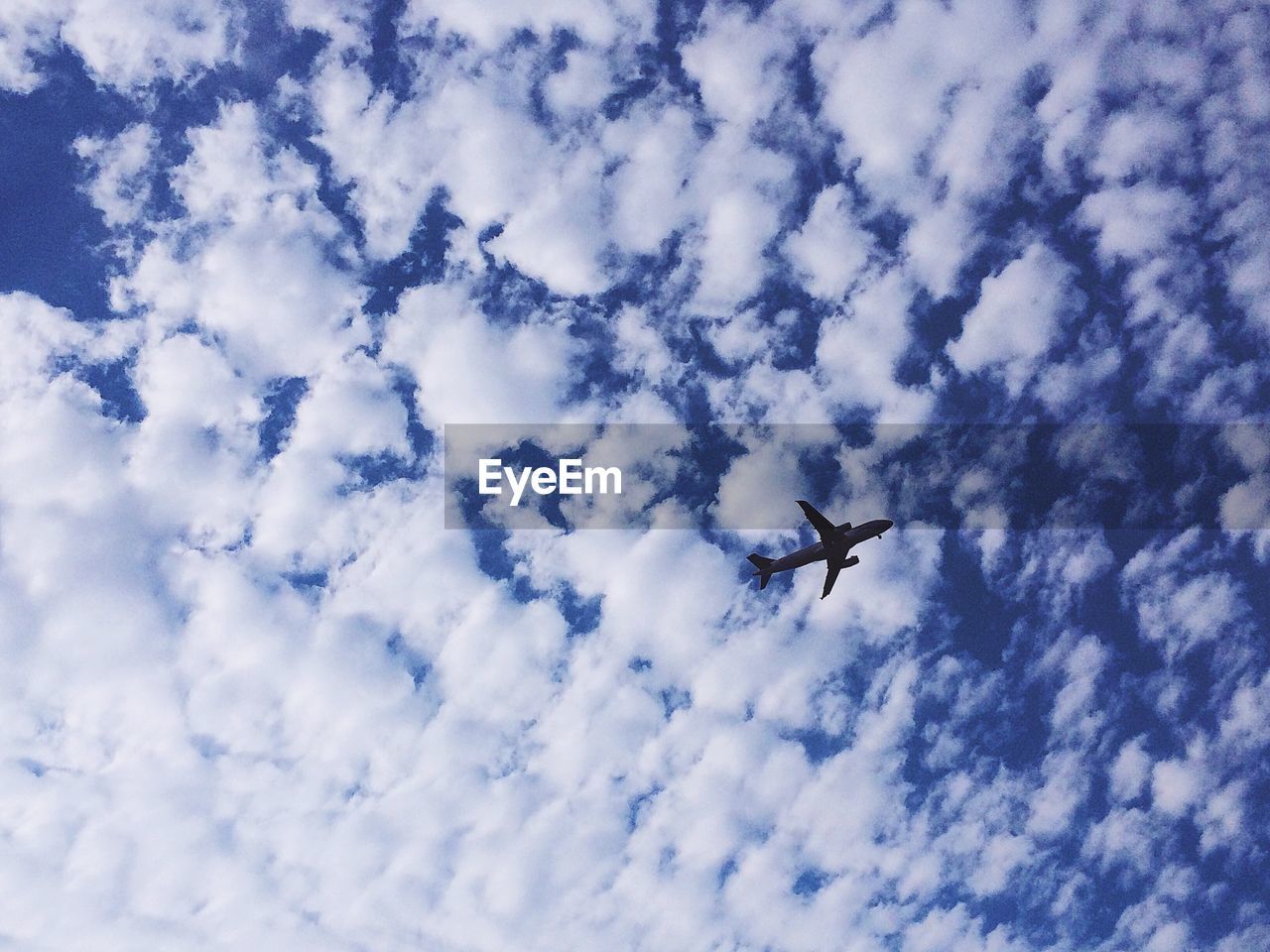 LOW ANGLE VIEW OF AIRPLANE IN FLIGHT