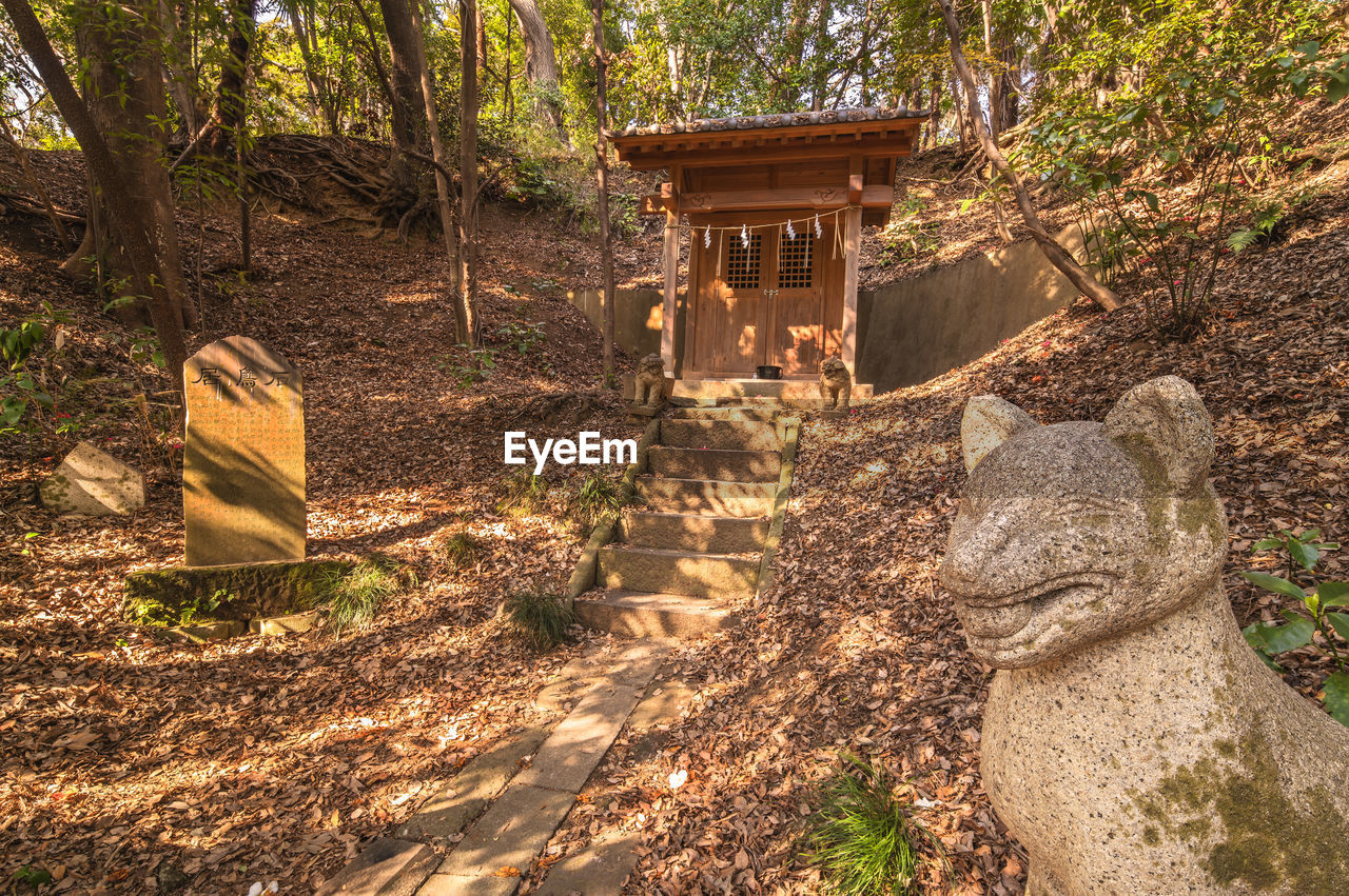 Shinto shrine and fox stone statues in the forest of the koishikawa botanical gardens.