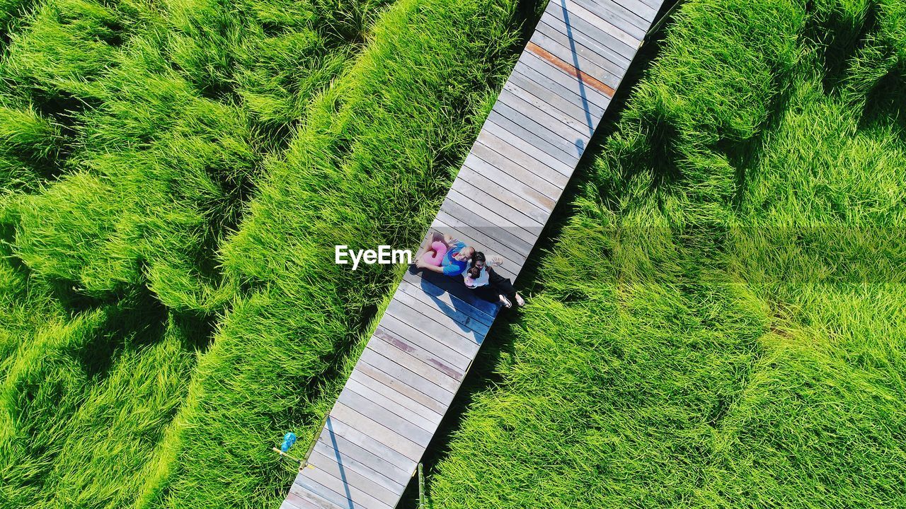 High angle view of people sitting on footbridge amidst grassy land