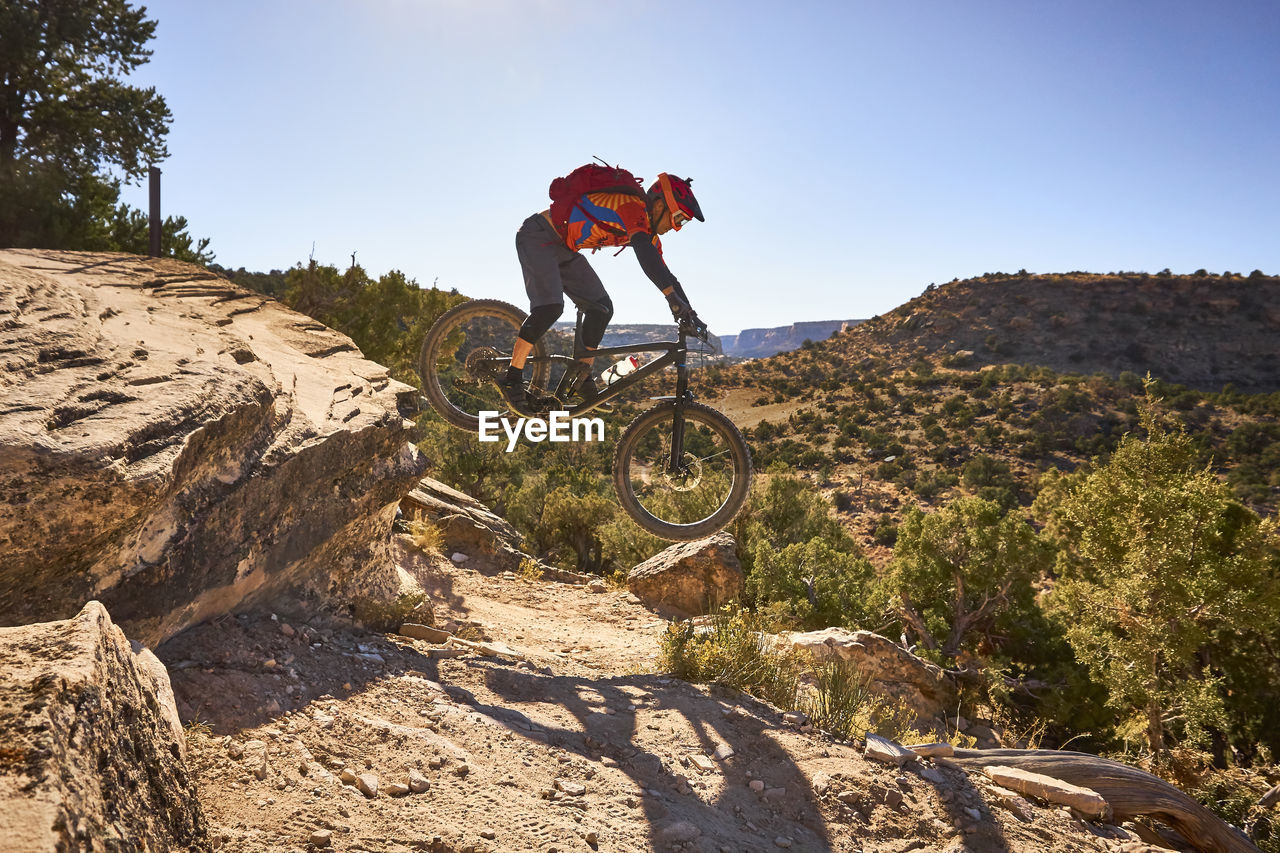 A mountain biker jumps a small drop on the trail in colorado.