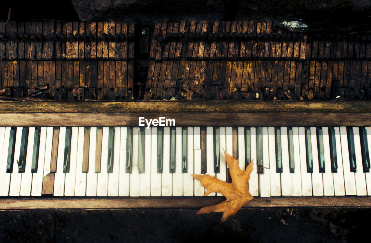 High angle view of leaf on piano
