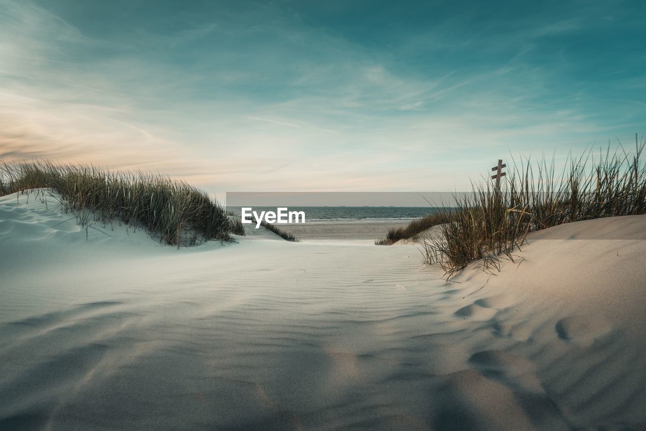 sky, land, sand, nature, scenics - nature, beauty in nature, water, beach, snow, morning, winter, wave, sea, tranquility, ocean, sunlight, cloud, plant, shore, tranquil scene, environment, landscape, horizon, natural environment, no people, sand dune, dune, tree, reflection, horizon over water, outdoors, marram grass, dawn, non-urban scene, coast, cold temperature, sunrise, idyllic, day, travel destinations, body of water, footprint