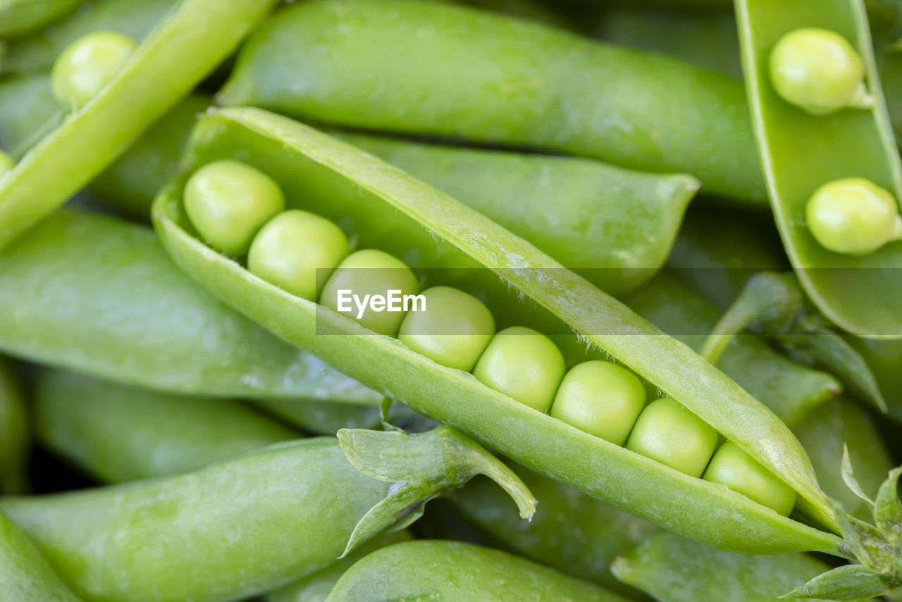 full frame shot of fresh green leaves