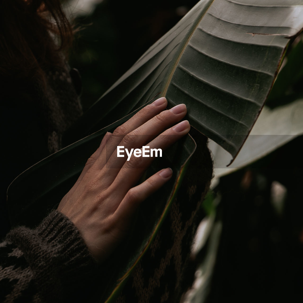 Midsection of woman holding leaf