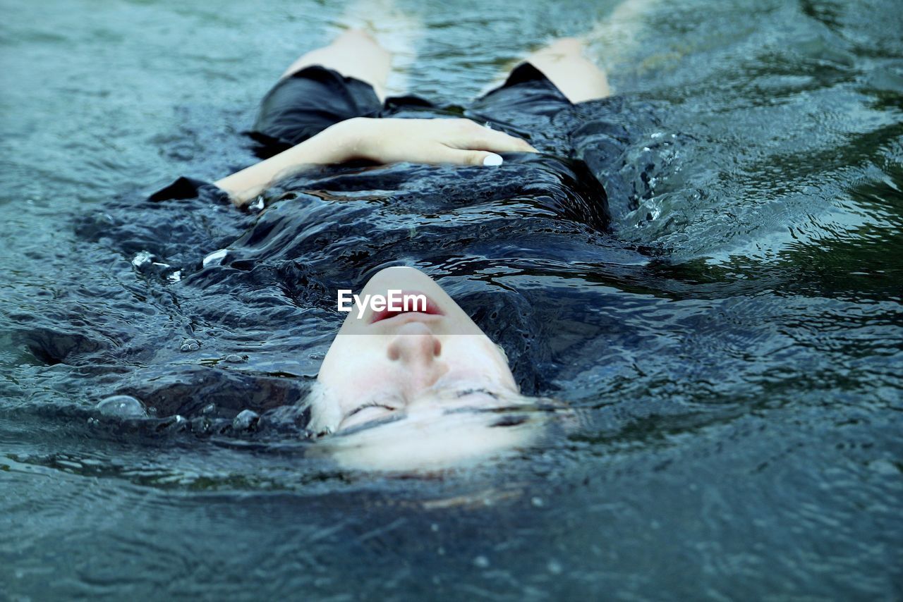 VIEW OF SEAL SWIMMING