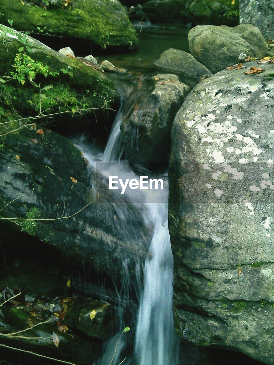 WATERFALL AMIDST TREES IN FOREST