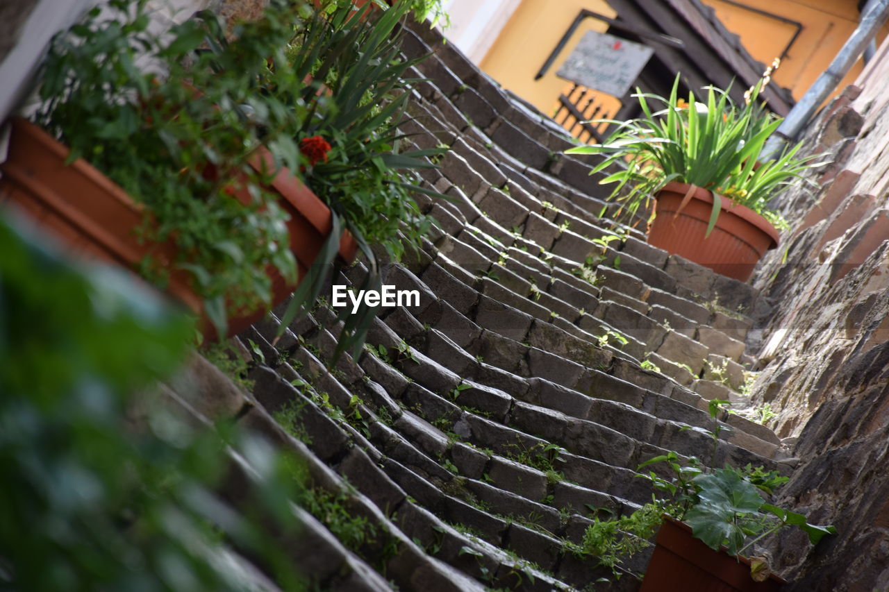 Low angle view of steps