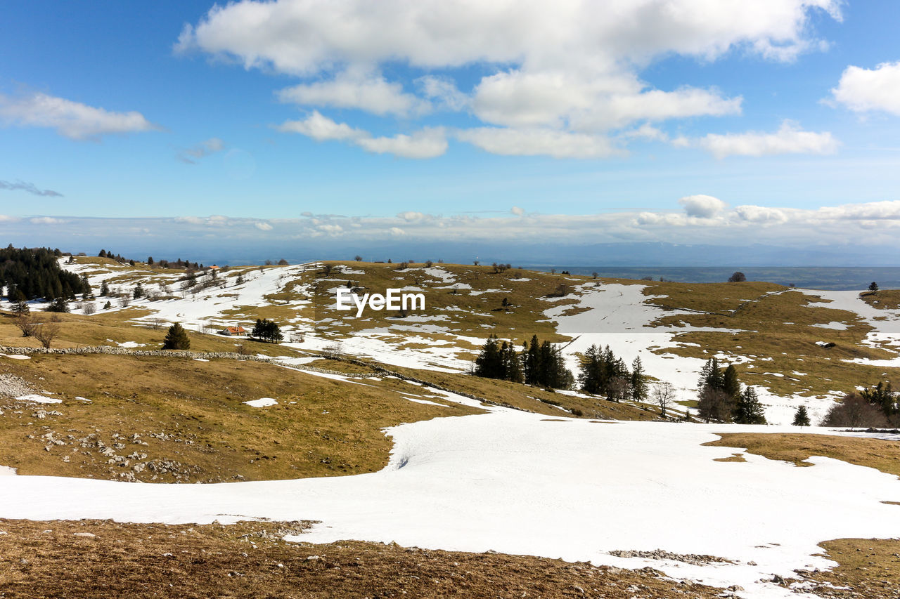 Remnants of snow in the swiss jura