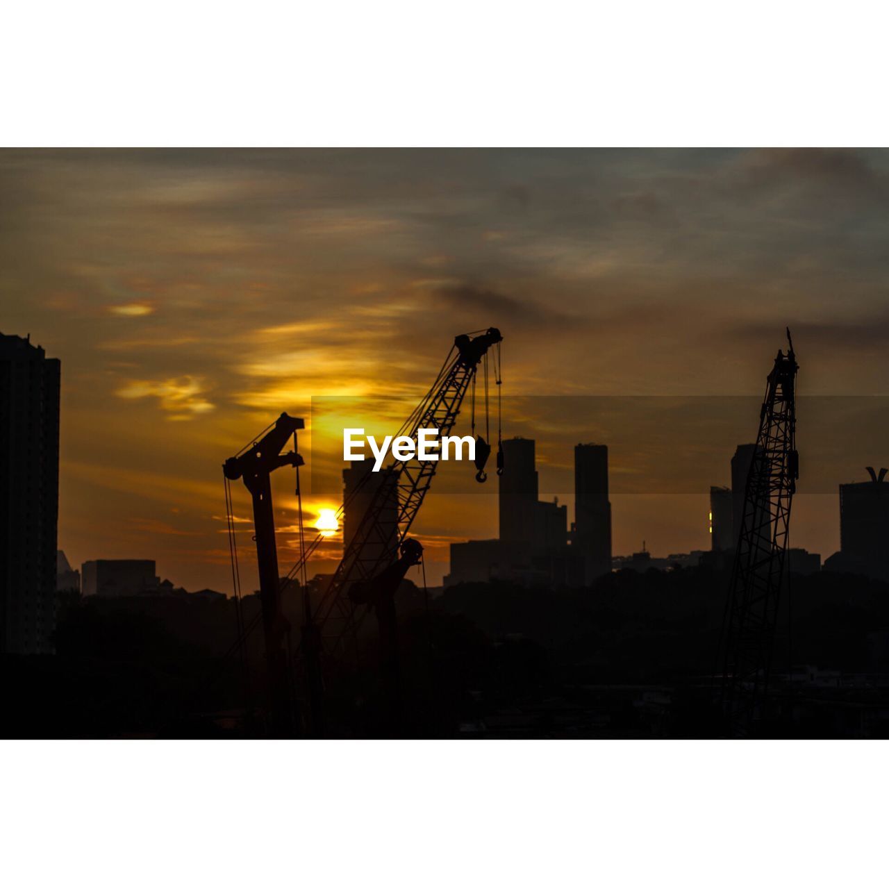 SILHOUETTE OF CRANES AT SUNSET