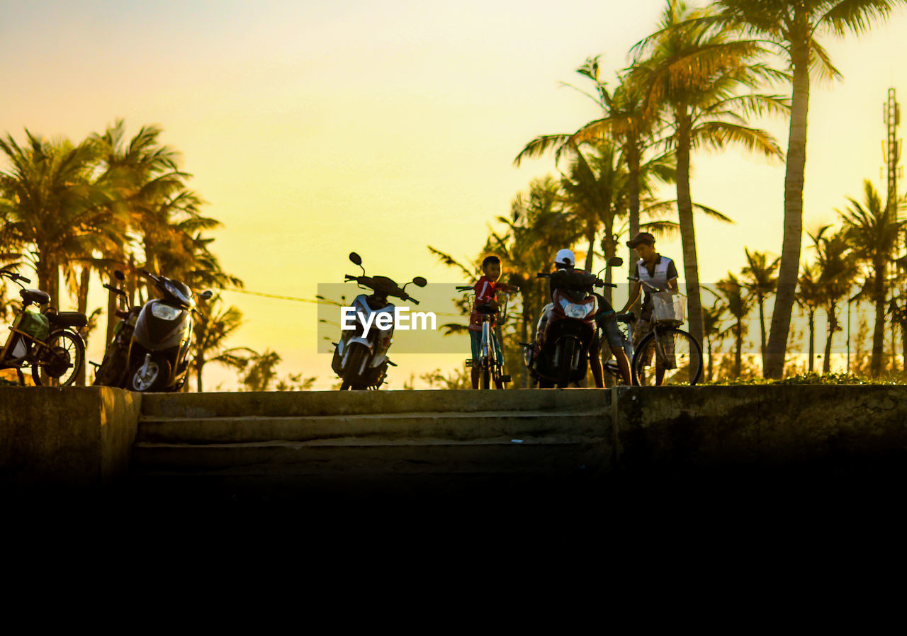 PEOPLE RIDING BICYCLE ON PALM TREES AGAINST SKY