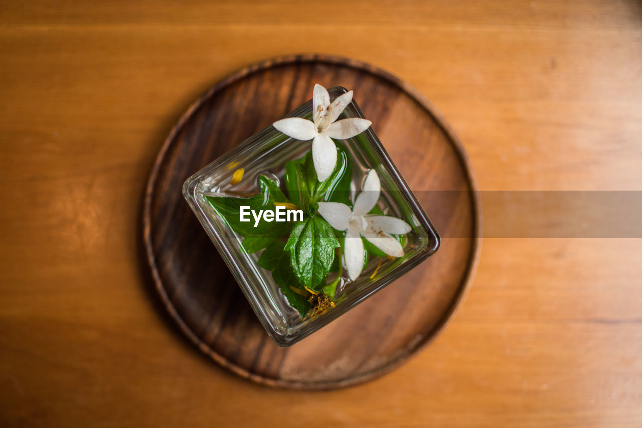 High angle view of flowers in bowl on table