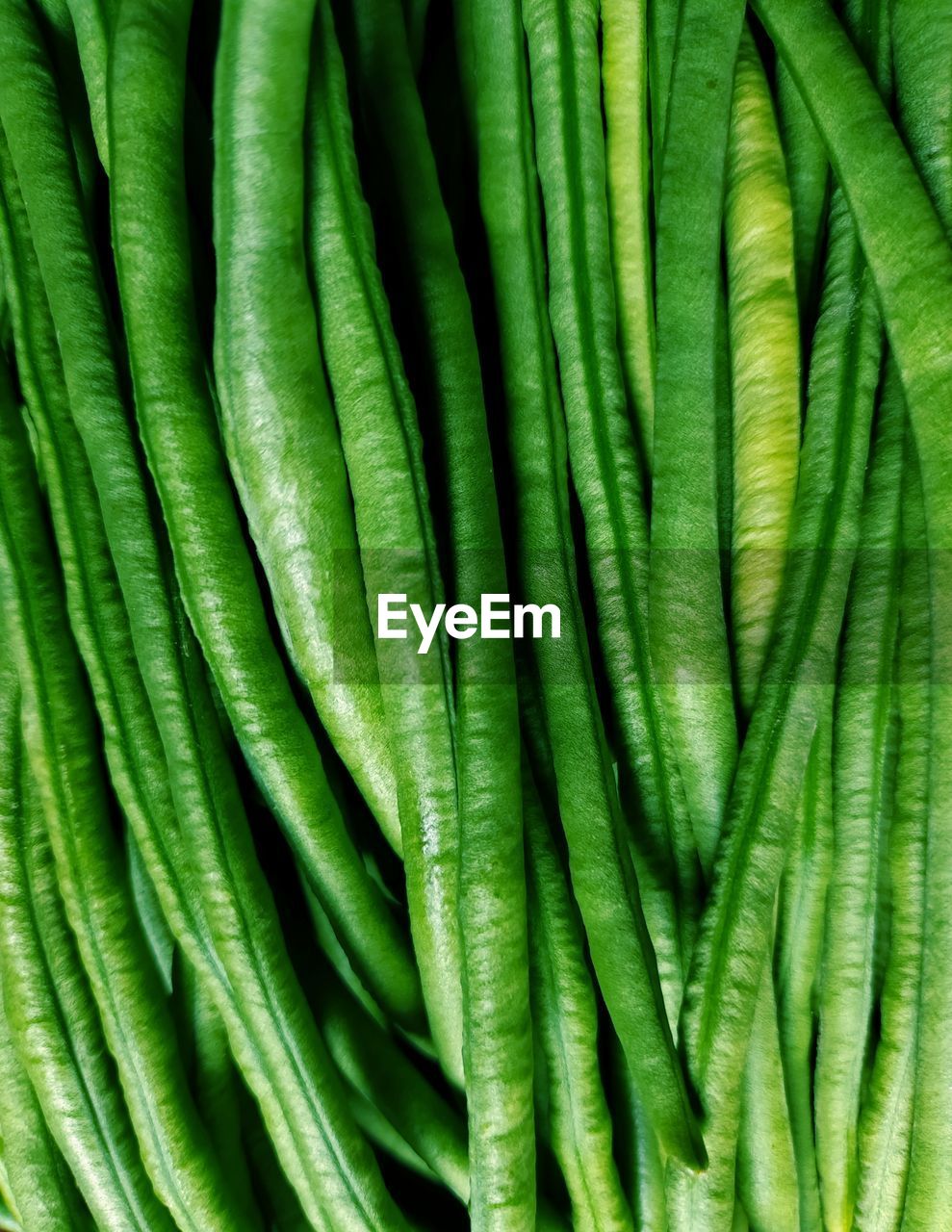 Full frame shot of vegetables best beans green supper market sale on bean collection