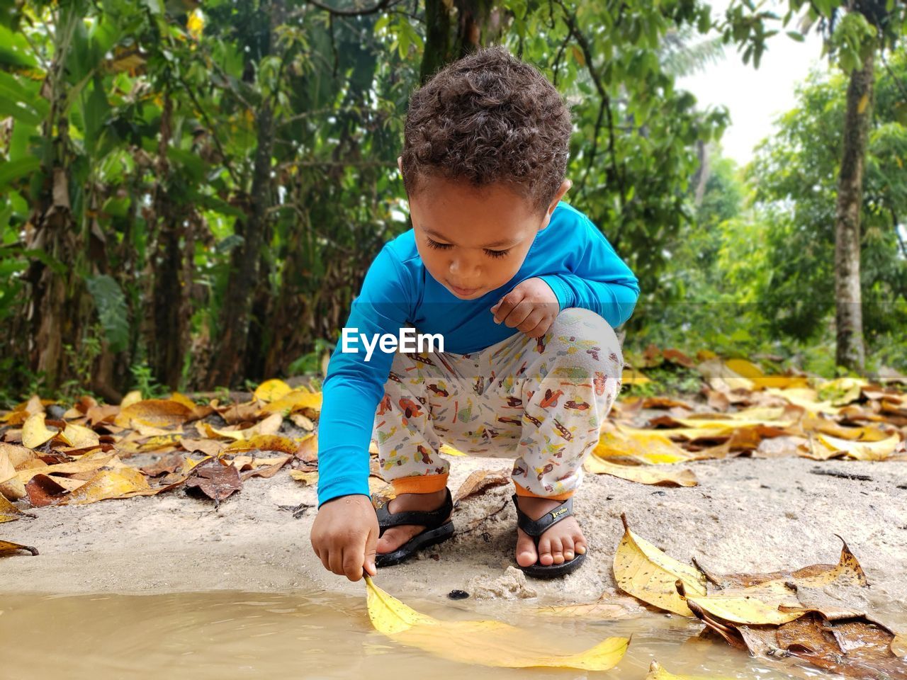 Boy holding leaf in lake at forest