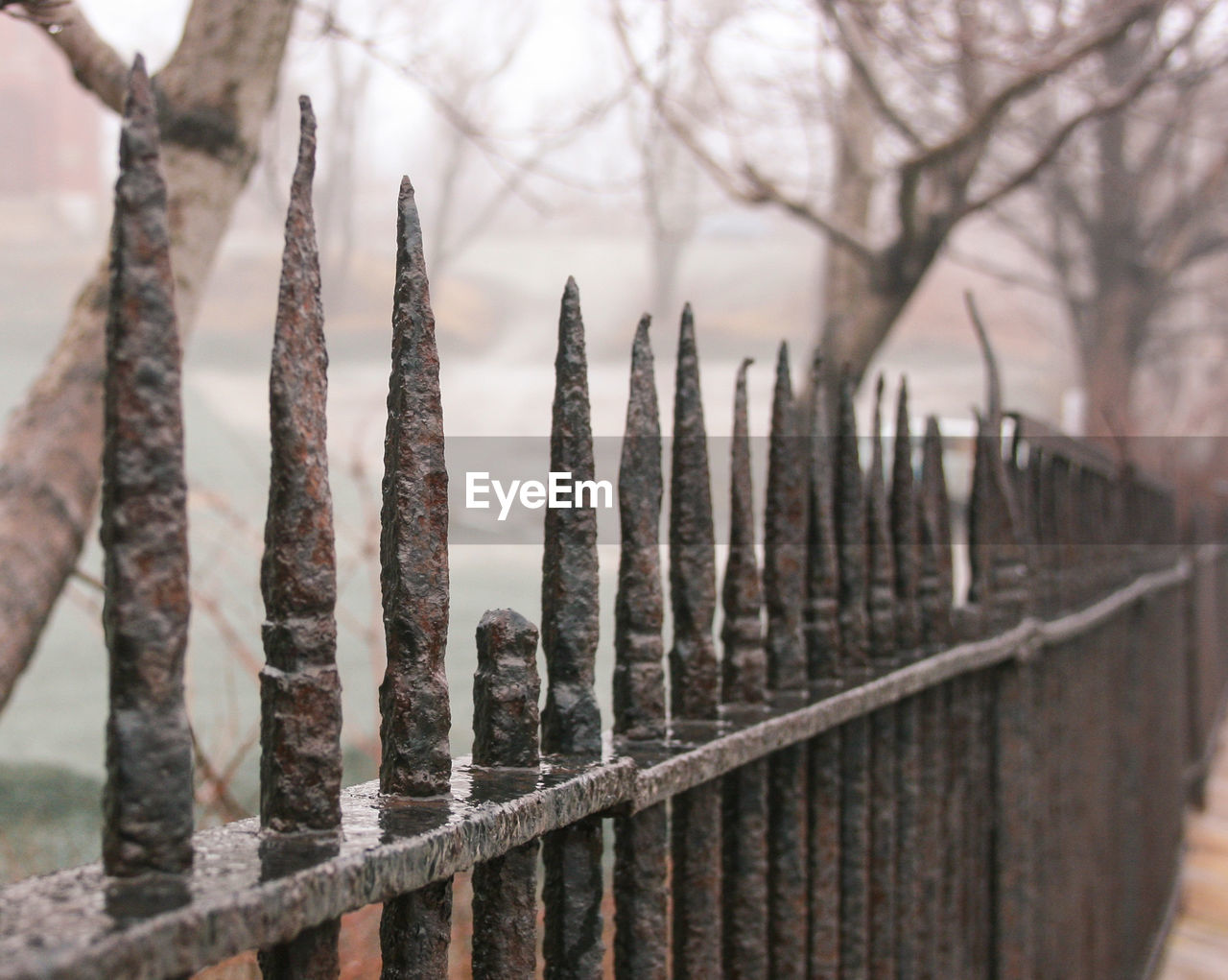 Close-up of rusty metal fence