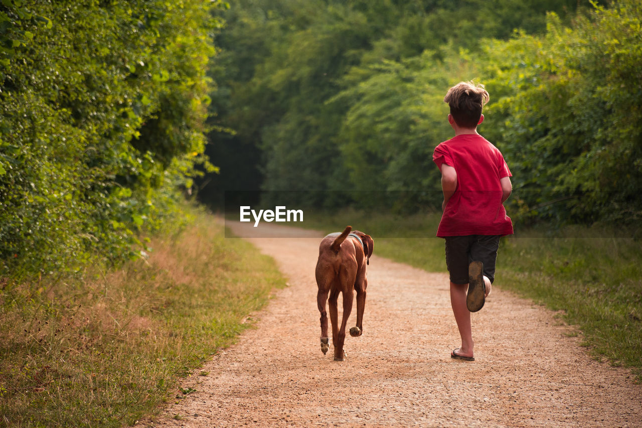 Rear view of boy running with dog amidst plants