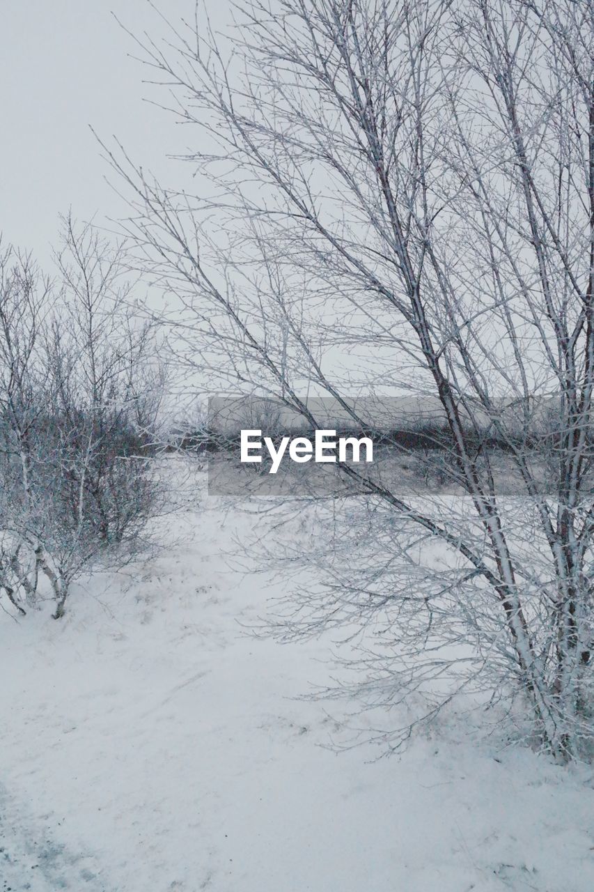 BARE TREES ON SNOW COVERED LANDSCAPE AGAINST SKY