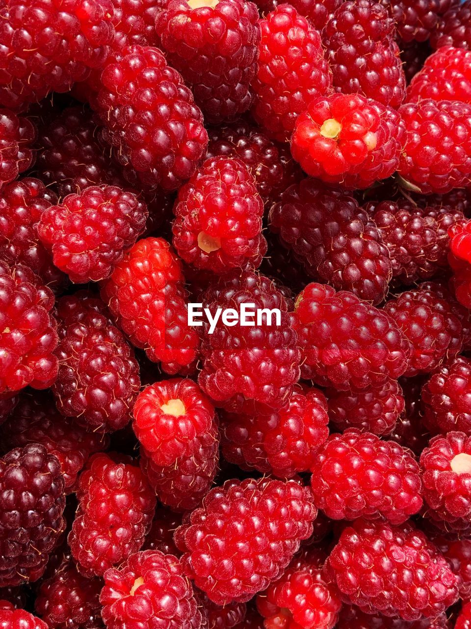 Full frame shot of raspberries 