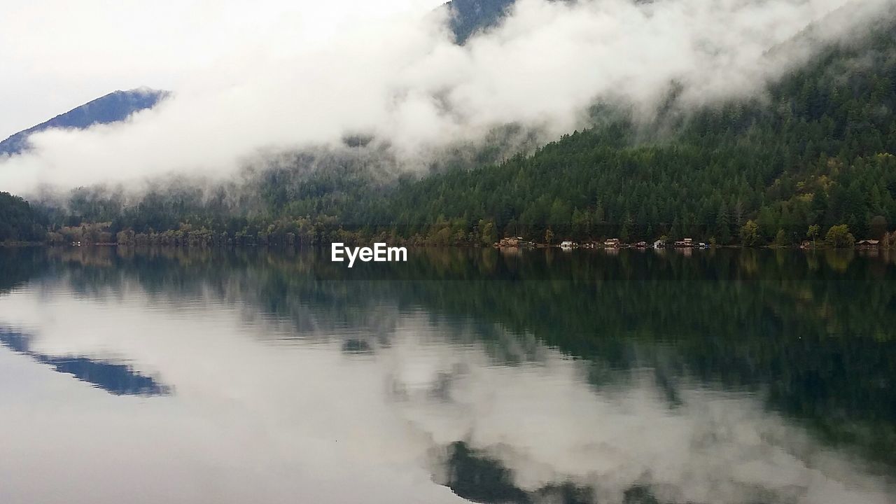 Scenic view of lake by trees in foggy weather