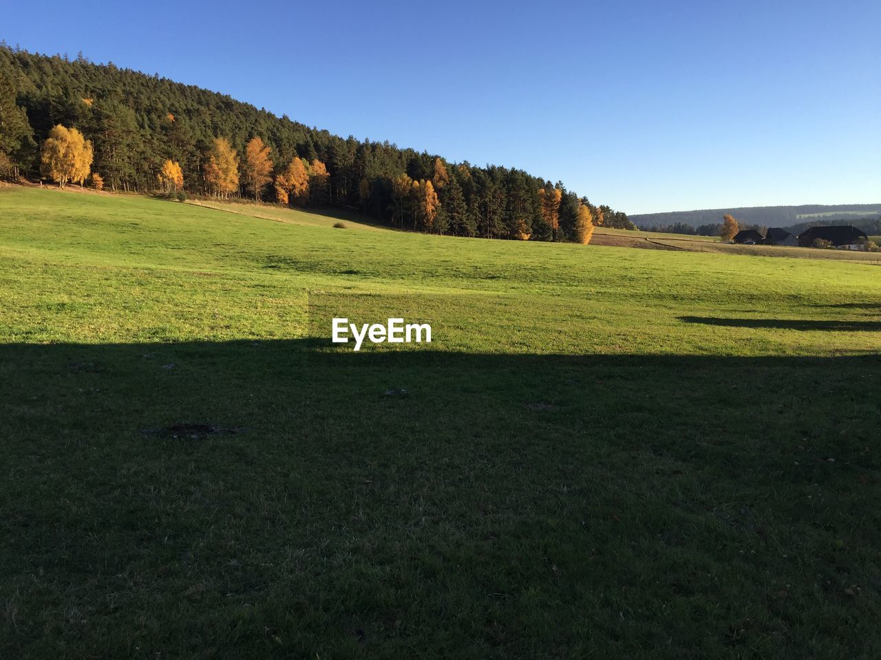 Scenic view of grassy field against sky