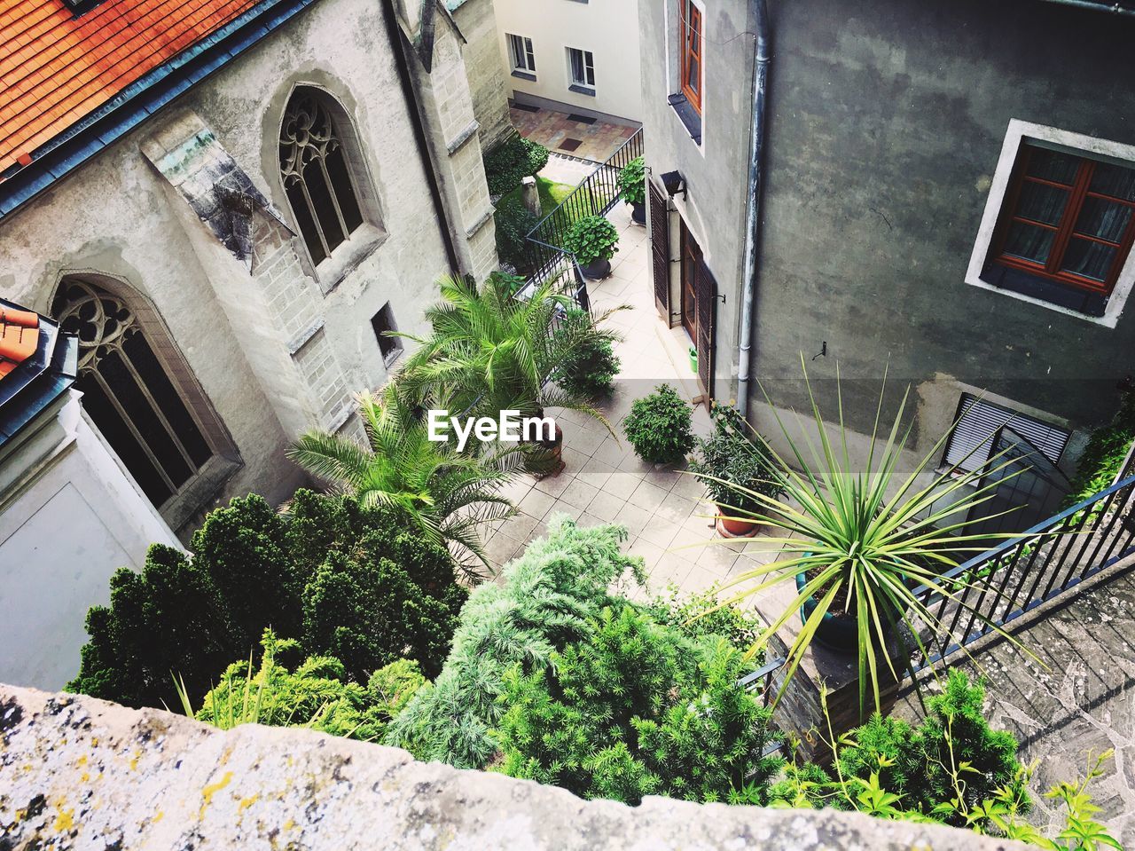 High angle view of plants growing by building