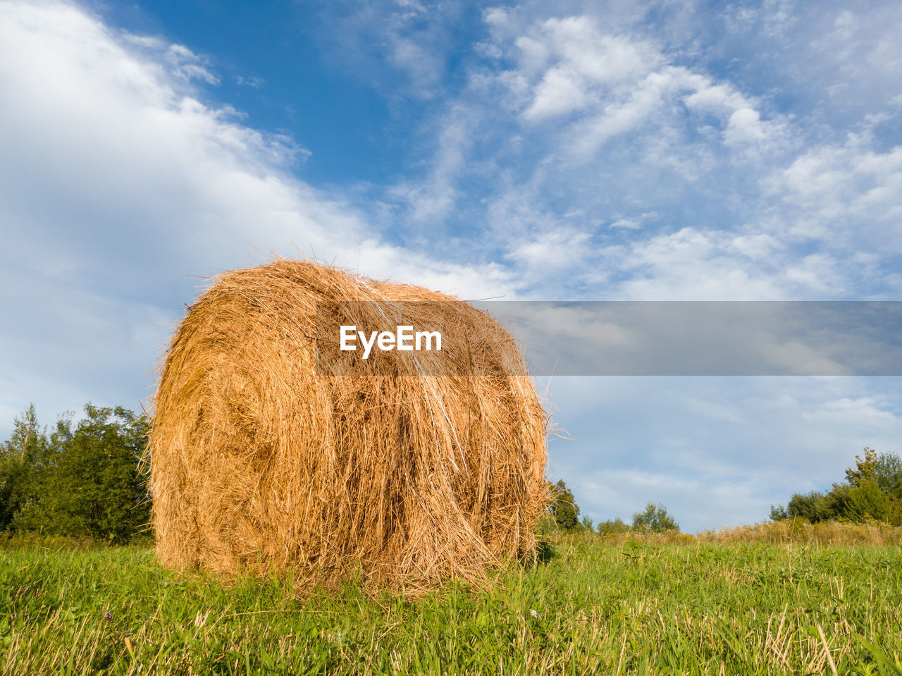 HAY BALES ON FIELD BY TREES AGAINST SKY