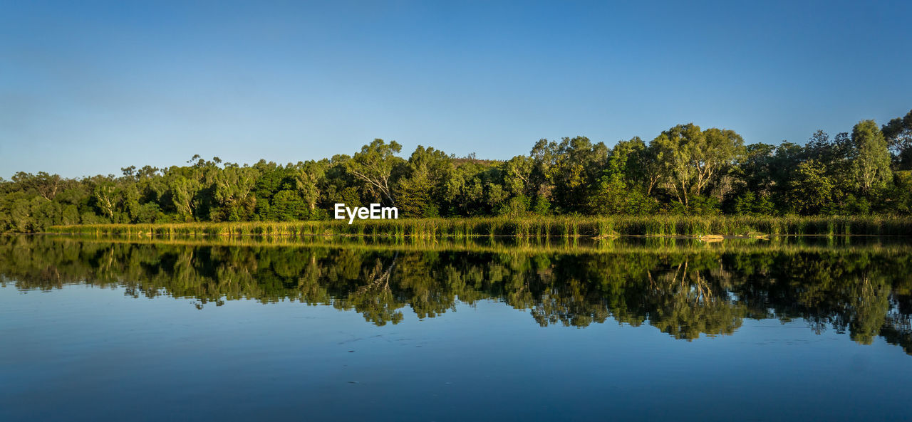 Reflection of trees in calm lake