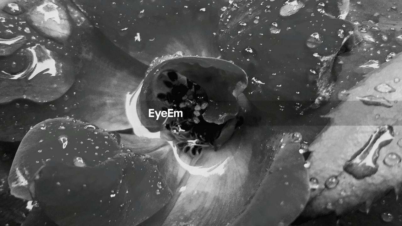 CLOSE-UP OF WATER IN AQUARIUM