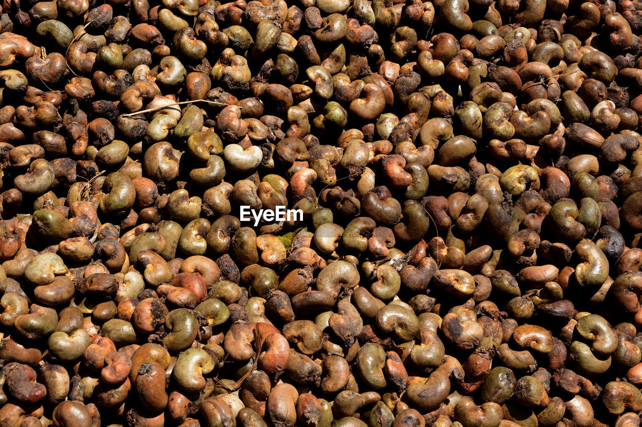 HIGH ANGLE VIEW OF COFFEE BEANS IN CONTAINER